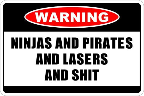 Ninjas And Pirates And Lasers And Hit Warning 8 X 12