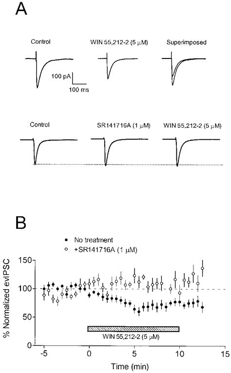 Effect Of Win On Stimulus Evoked Gaba A Receptormediated Ipscs