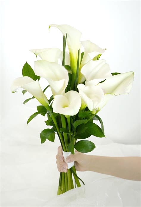 Calla Lily Bouquet - Flower & Plant Free Delivery | Toronto Flower Shop ...