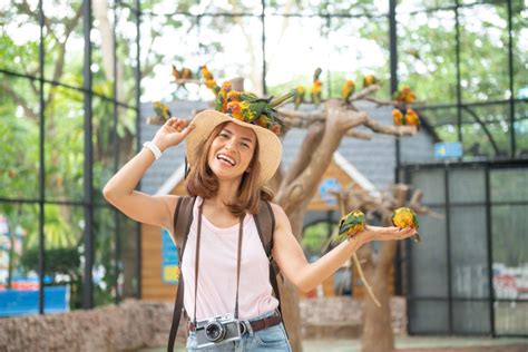 10 Top Safari Places You Can Go To On A Budget Mgmedium