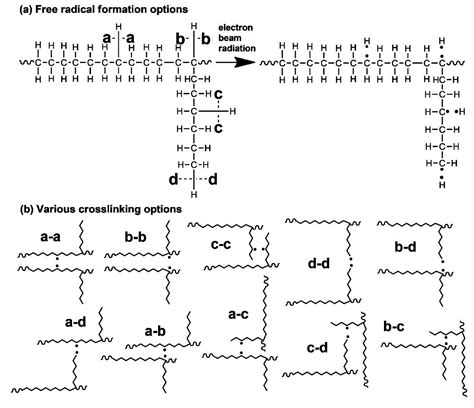 Polymers Free Full Text Influence Of Branching Density In Ethylene