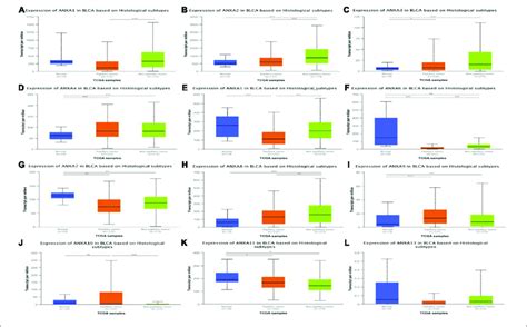 Correlation Between The Mrna Expression Of Different Anxa Members And