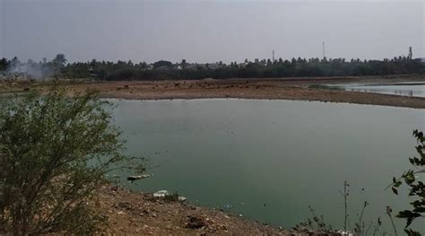 Chennais Chitlapakkam Lake Revival Model Holds Key To Fight Water