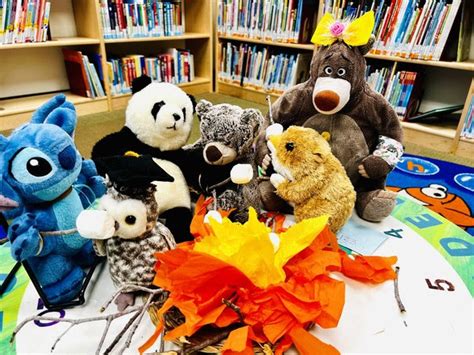 Over 200 Stuffed Animals Sleepover At The Goleta Valley Library Edhat