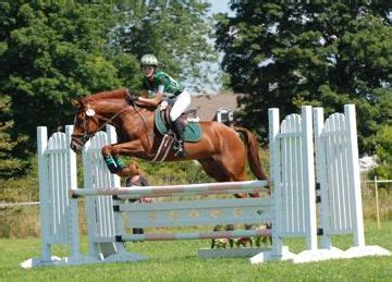 Matching Horse and Rider Experience - C Square Farm