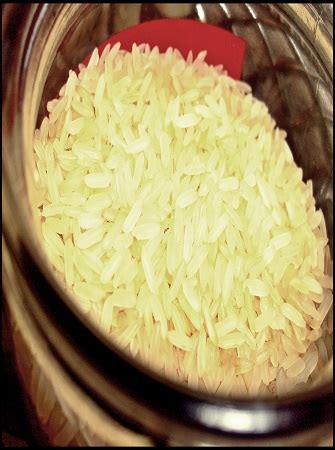 Successful Rice Farming and Processing in Nigeria Guidelines