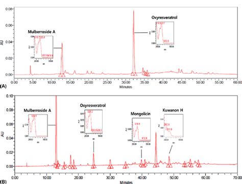 Hplc Chromatograms Of Mulberry Twigs A And Root Barks B Analytical