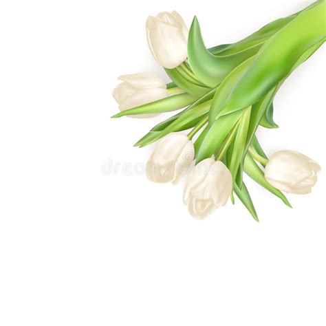 Tulips Decorative Background Eps Stock Vector Illustration Of