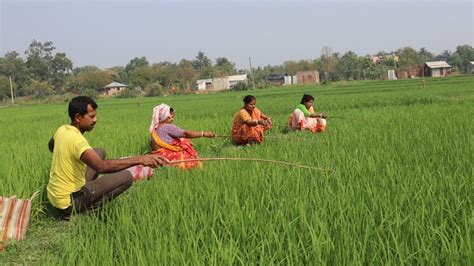 Fishing Video The Village Boy Lady Is Fishing With A Hook In The