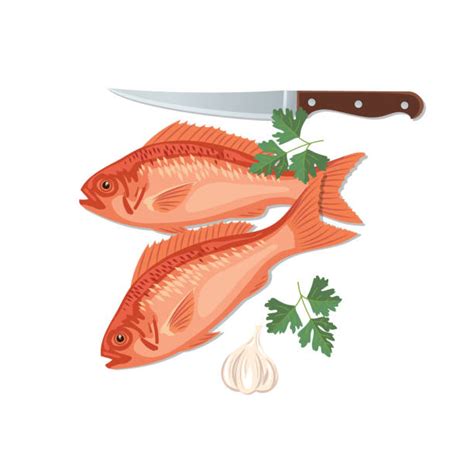 Pescado Crudo Vectores Libres De Derechos Istock