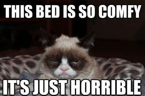 This Bed Is So Comfy Its Just Horrible Grumpy Cat Meme Sleep Funny