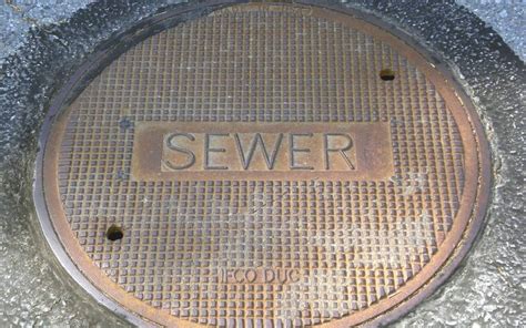 Signs You Need A Sewer Scope Inspection Checkpoint Home Inspections