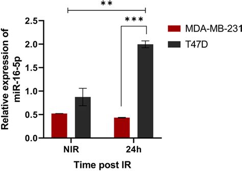 Validation Of MiR 16 5p Expression Modification Graph Reporting The