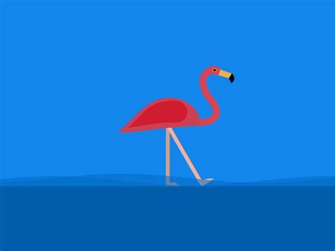 Flamingo By Luna On Dribbble