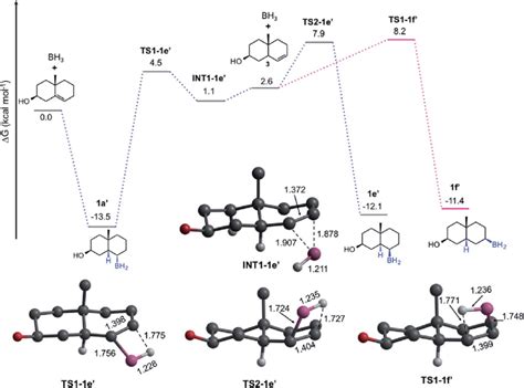 Gibbs Energy Profiles In Kcal Mol À1 For The Formation Of 1e 0 And Download Scientific