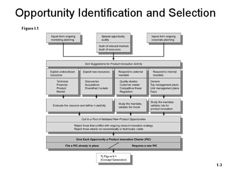 Phase 1 Opportunity Identification Selection