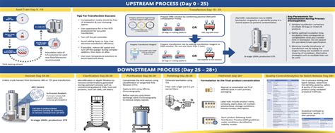 Industrial Scale Manufacturing Of Aav A Blueprint