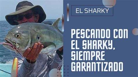 Pescando Con El Sharky Siempre Garantizado Youtube