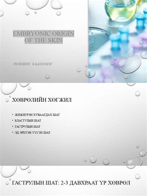 Арьс бүтэц | Download Free PDF | Anatomy | Morphology (Biology)