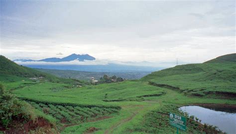 another side of Indonesia: puncak