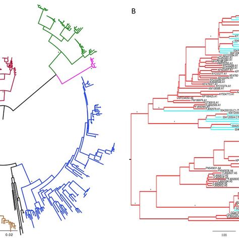 Maximum Likelihood Tree Midpoint Rooted Showing The Phylogenetic Download Scientific Diagram