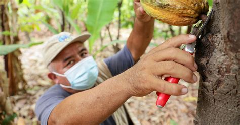 Reconversi N Productiva Alternativa Para La Agricultura Familiar