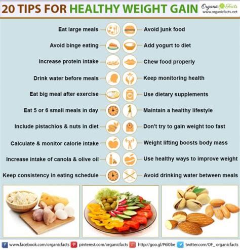 20 Amazing Methods For Healthy Weight Gain Organic Facts Artofit