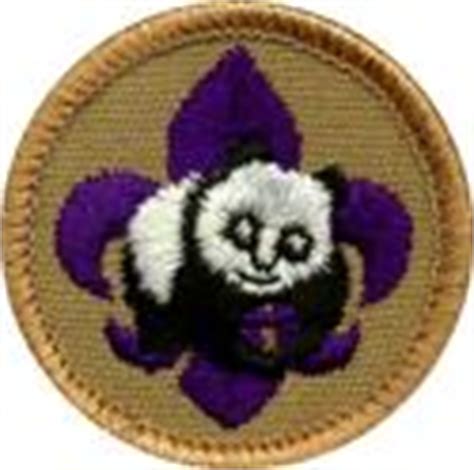 Scouts BSA World Conservation Award 2024