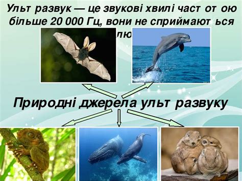 екологічні - презентація з фізики