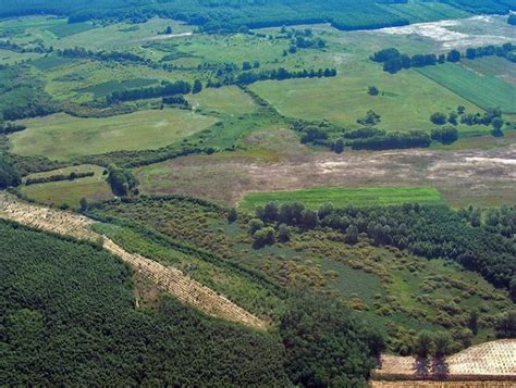 Hortobágyi Nemzeti Park Természetvédelem