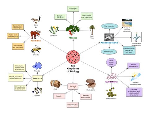 Mrs Remis Science Blog 5th Grade 6 Kingdoms Of Science