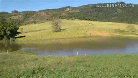 Pegando O Boi Na Fazenda Com Peão Youtube