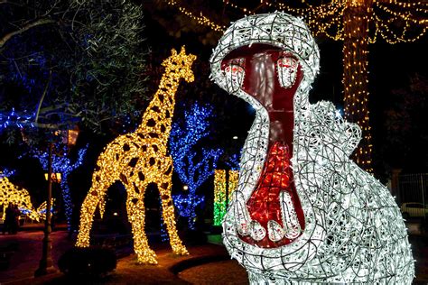 Bronx Zoo Holiday Lights 2024 Parking Schedule And More