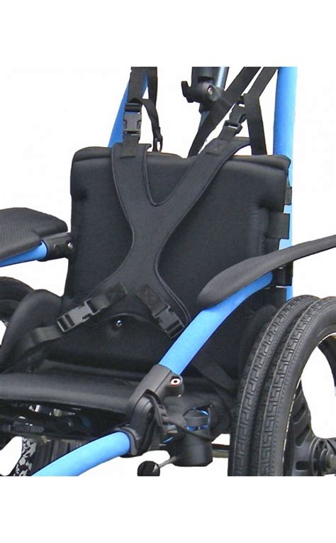 Wheelchair Chest Harness Ubicaciondepersonas Cdmx Gob Mx