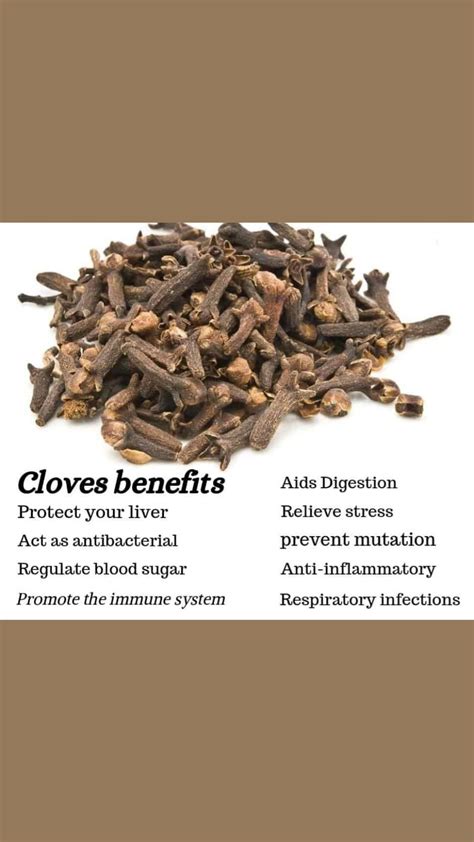 Clove Health Benefits Artofit