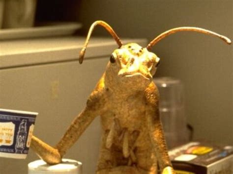 Люди в черном (Men in Black) 1997 смотреть онлайн в хорошем качестве на ...