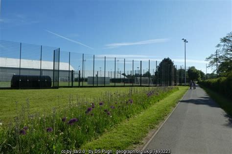 Alliums Growing Near The Sports Centre DS Pugh Geograph Britain