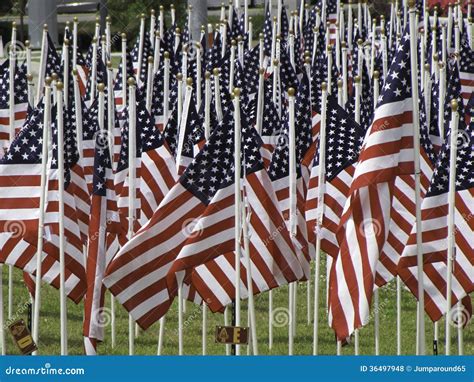 Muitas Bandeiras Americanas Foto De Stock Imagem De Trag Dia