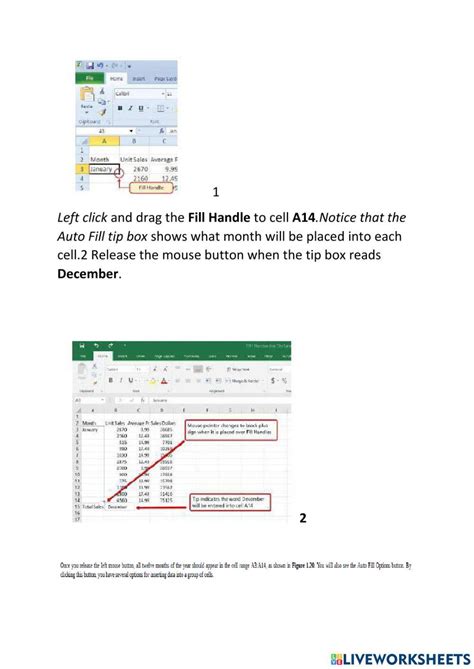 Lesson 5 Entering Editing And Managing Data Worksheet Live Worksheets