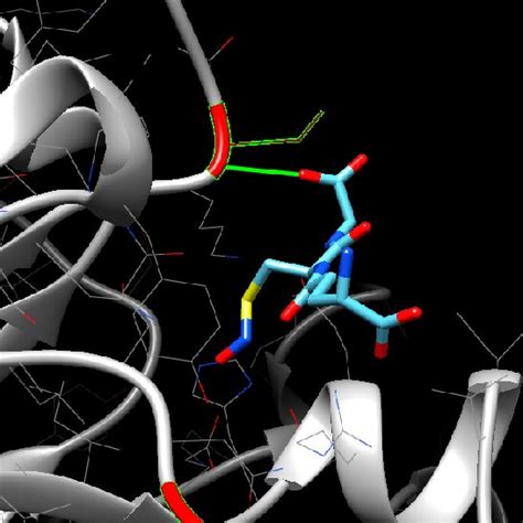 Protein Ligand Molecular Docking Interaction Highlighted In Green Of