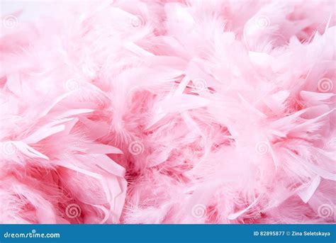 Fundo Macio Cor De Rosa Das Penas Imagem De Stock Imagem De Fundo