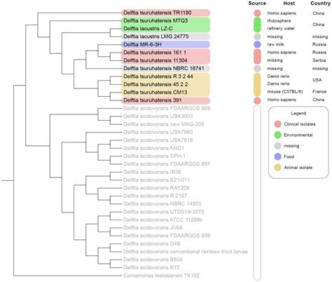 Frontiers Genomic Analysis Of Multidrug Resistant Delftia