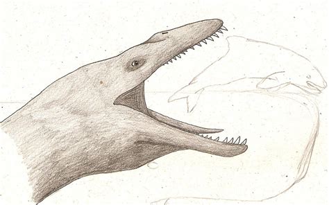 Pliosaurus by dinosaurusbrazil on DeviantArt