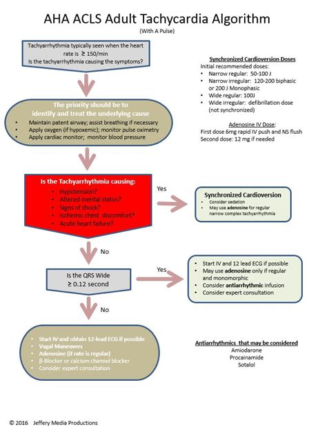 Acls Algorithm Overview Acls Algorithm Acls Medical Mnemonics