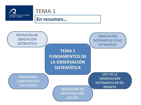 Observaci N Sistem Tica Y An Lisis De Contextos Ppt Descargar