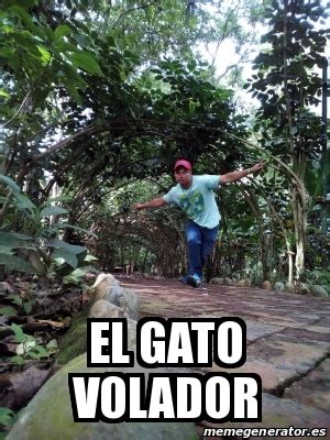 Meme Personalizado El Gato Volador