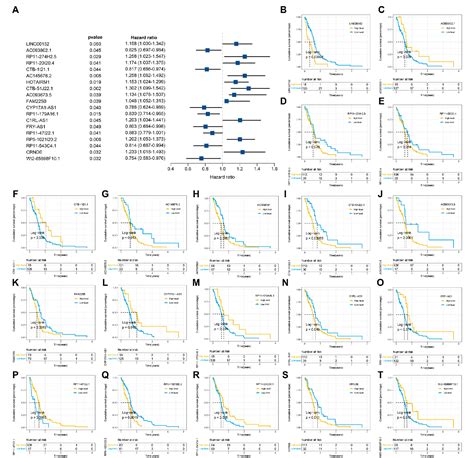 Figure 1 From Clinical Significance And Immune Landscape Of A