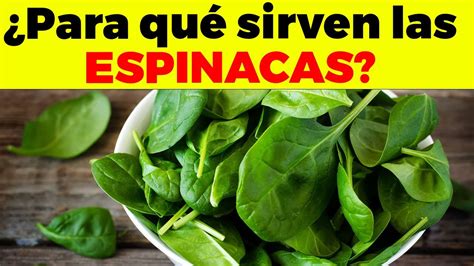 Espinacas ¿para Qué Sirven Beneficios De Las Espinacas Para Tu Salud