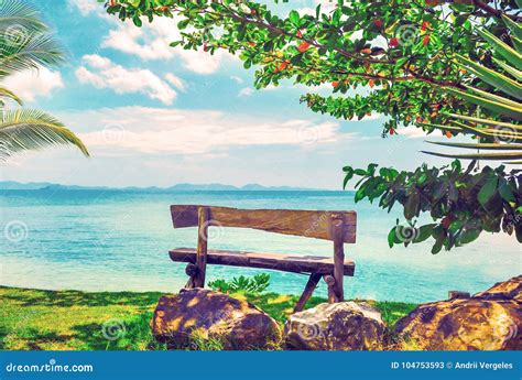 Beautiful Hawaii Beach Bench On The Beach Near The Sea Stock Image
