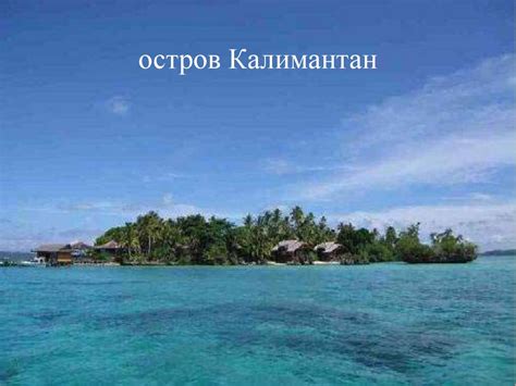 Акимушкин Игорь Иванович - презентация онлайн